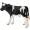 13798SCH Holstein Kalb